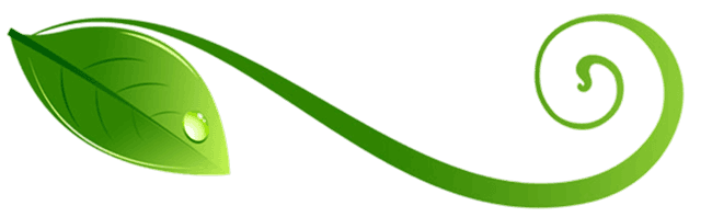 Feature section decorative element